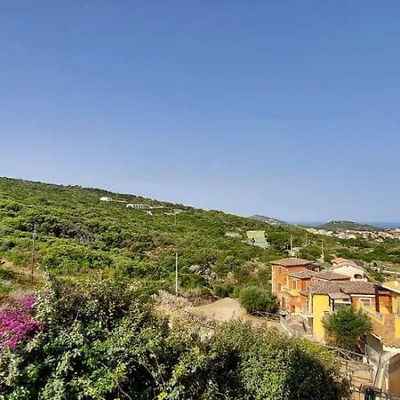 Attici Terrabianca *
